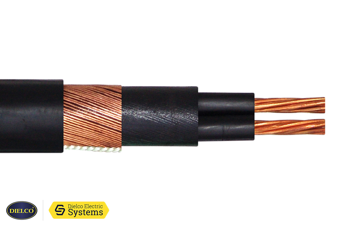 Cable antifraude 8+8